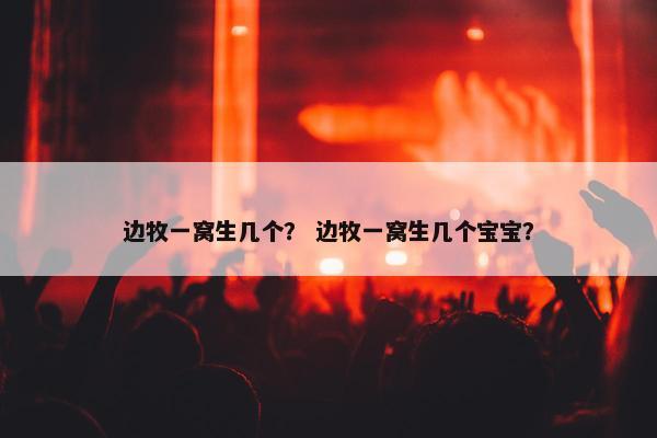 边牧一窝生几个？ 边牧一窝生几个宝宝？