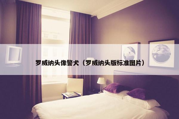 罗威纳头像警犬（罗威纳头版标准图片）