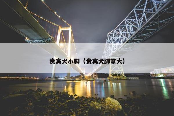 贵宾犬小脚（贵宾犬脚掌大）