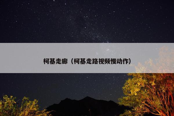 柯基走廊（柯基走路视频慢动作）