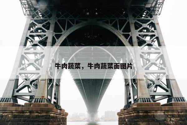 牛肉蔬菜，牛肉蔬菜面图片