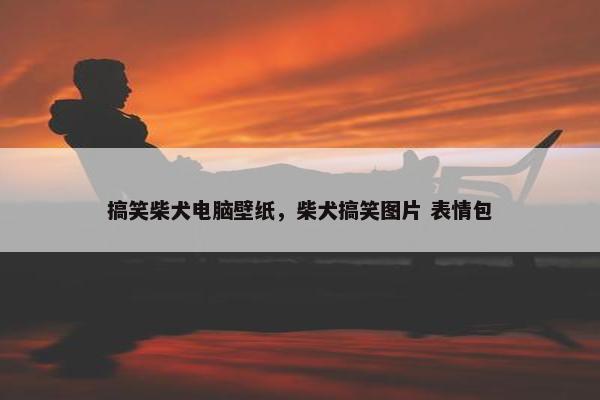 搞笑柴犬电脑壁纸，柴犬搞笑图片 表情包