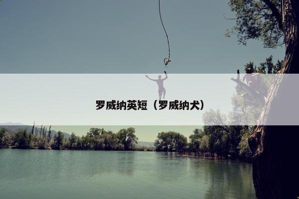 罗威纳英短（罗威纳犬）