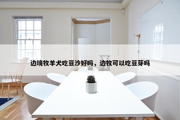 边境牧羊犬吃豆沙好吗，边牧可以吃豆芽吗