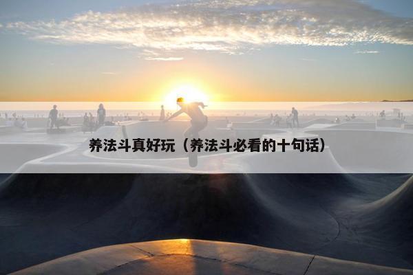 养法斗真好玩（养法斗必看的十句话）