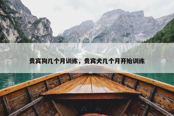 贵宾狗几个月训练，贵宾犬几个月开始训练