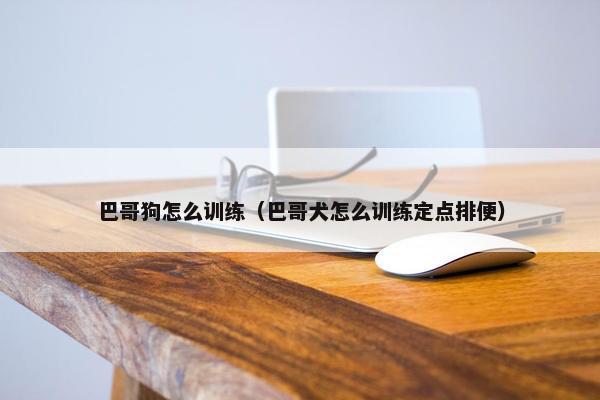 巴哥狗怎么训练（巴哥犬怎么训练定点排便）