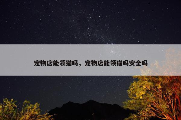 宠物店能领猫吗，宠物店能领猫吗安全吗