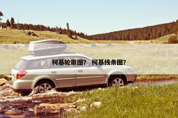 柯基轮廓图？ 柯基线条图？