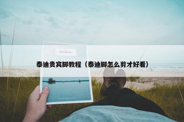 泰迪贵宾脚教程（泰迪脚怎么剪才好看）