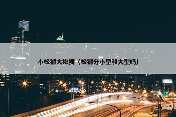 小松狮大松狮（松狮分小型和大型吗）