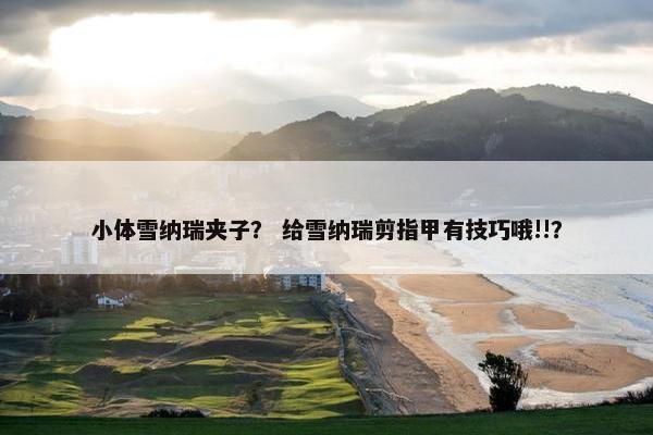 小体雪纳瑞夹子？ 给雪纳瑞剪指甲有技巧哦!!？