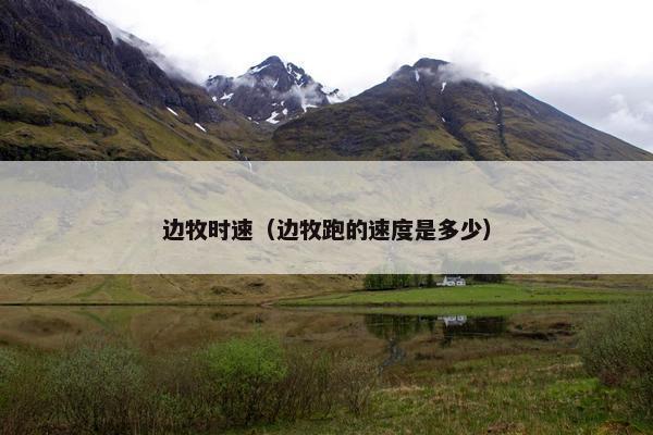 边牧时速（边牧跑的速度是多少）