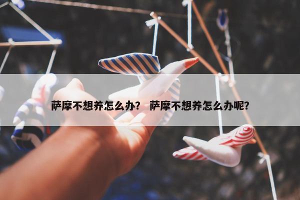 萨摩不想养怎么办？ 萨摩不想养怎么办呢？