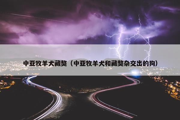 中亚牧羊犬藏獒（中亚牧羊犬和藏獒杂交出的狗）