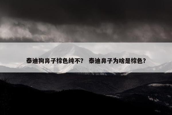 泰迪狗鼻子棕色纯不？ 泰迪鼻子为啥是棕色？