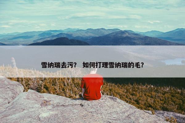 雪纳瑞去污？ 如何打理雪纳瑞的毛？