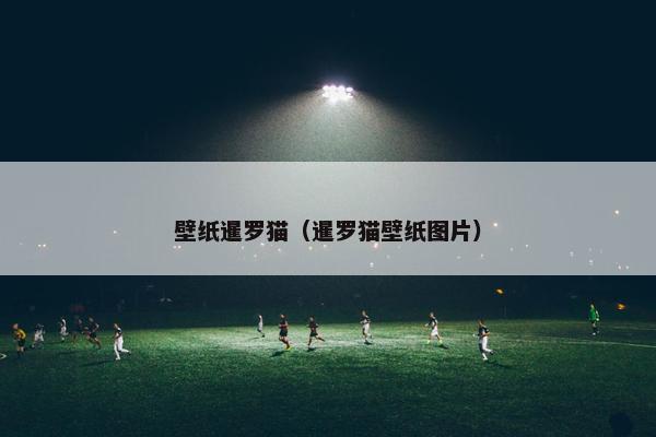 壁纸暹罗猫（暹罗猫壁纸图片）