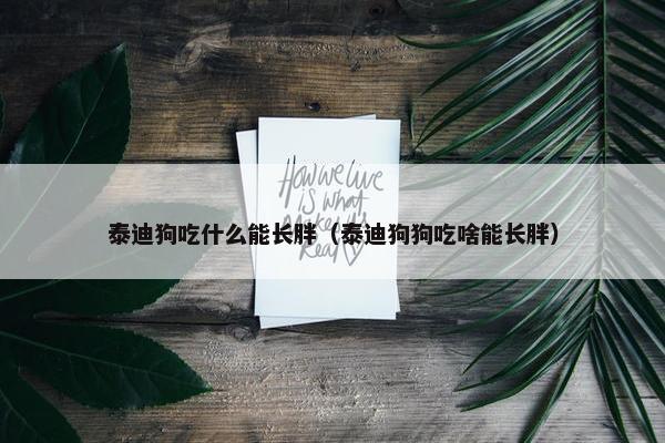 泰迪狗吃什么能长胖（泰迪狗狗吃啥能长胖）