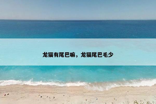 龙猫有尾巴嘛，龙猫尾巴毛少