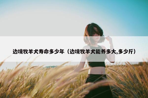 边境牧羊犬寿命多少年（边境牧羊犬能养多大,多少斤）