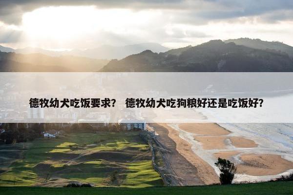 德牧幼犬吃饭要求？ 德牧幼犬吃狗粮好还是吃饭好？