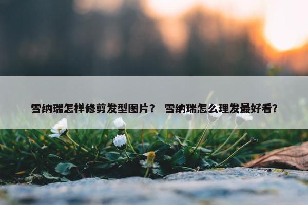 雪纳瑞怎样修剪发型图片？ 雪纳瑞怎么理发最好看？