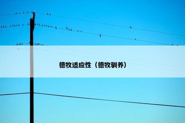 德牧适应性（德牧驯养）