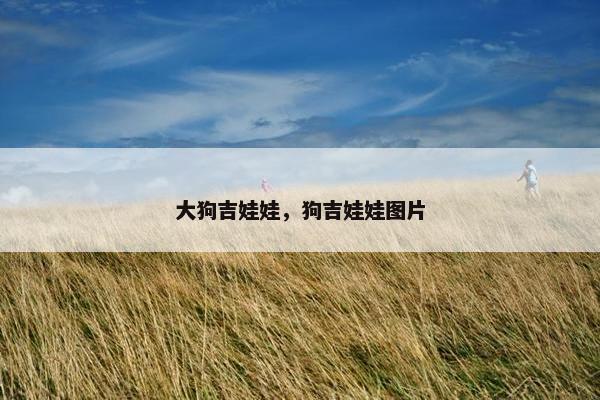 大狗吉娃娃，狗吉娃娃图片