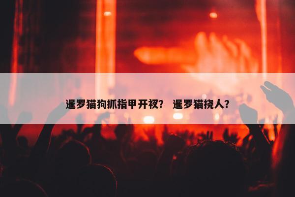 暹罗猫狗抓指甲开衩？ 暹罗猫挠人？