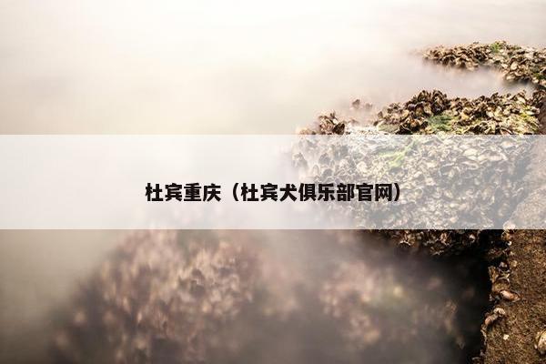 杜宾重庆（杜宾犬俱乐部官网）