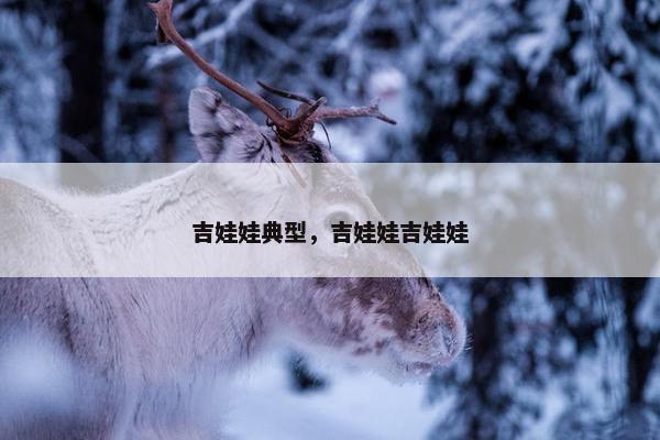 吉娃娃典型，吉娃娃吉娃娃
