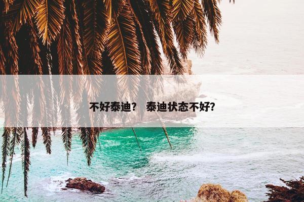 不好泰迪？ 泰迪状态不好？