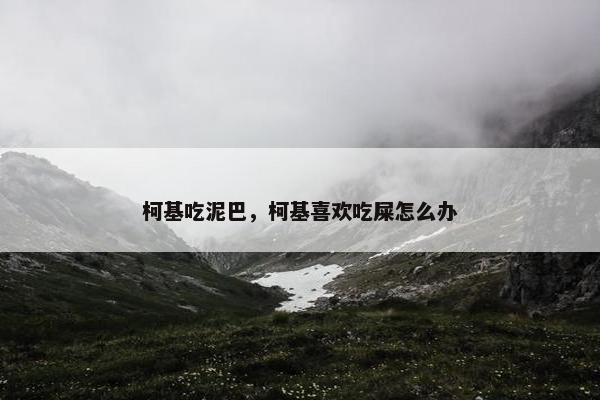 柯基吃泥巴，柯基喜欢吃屎怎么办