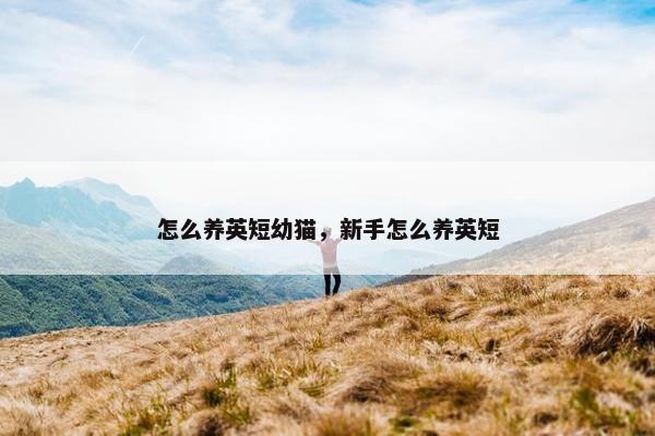 怎么养英短幼猫，新手怎么养英短