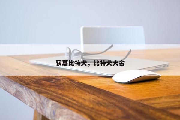 获嘉比特犬，比特犬犬舍