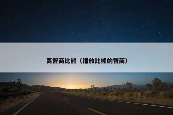 高智商比熊（播放比熊的智商）