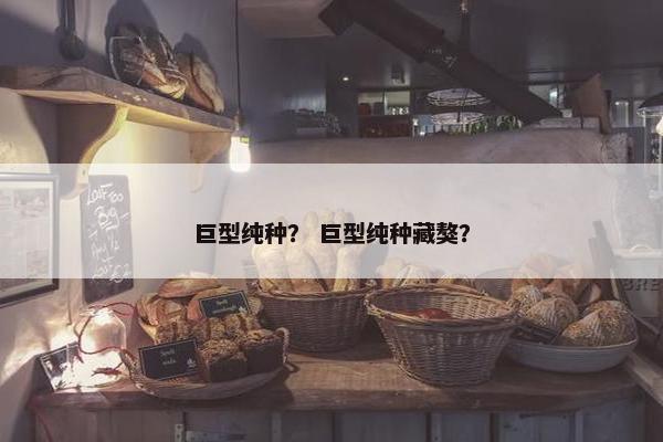 巨型纯种？ 巨型纯种藏獒？