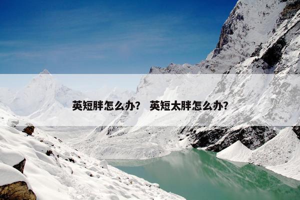 英短胖怎么办？ 英短太胖怎么办？