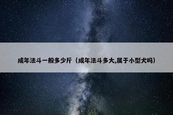 成年法斗一般多少斤（成年法斗多大,属于小型犬吗）
