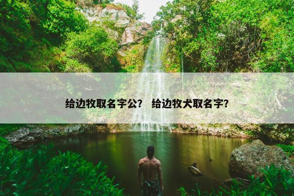 给边牧取名字公？ 给边牧犬取名字？