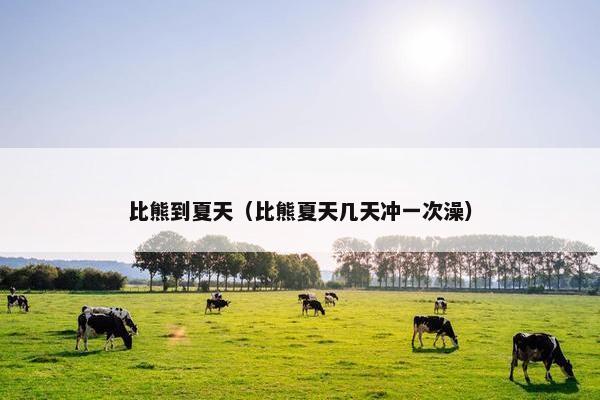 比熊到夏天（比熊夏天几天冲一次澡）