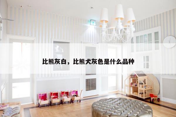 比熊灰白，比熊犬灰色是什么品种