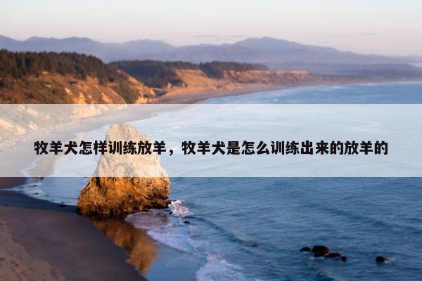 牧羊犬怎样训练放羊，牧羊犬是怎么训练出来的放羊的