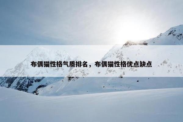 布偶猫性格气质排名，布偶猫性格优点缺点
