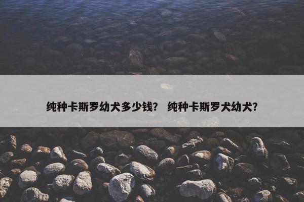 纯种卡斯罗幼犬多少钱？ 纯种卡斯罗犬幼犬？