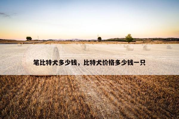 笔比特犬多少钱，比特犬价格多少钱一只