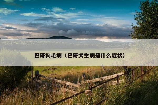 巴哥狗毛病（巴哥犬生病是什么症状）