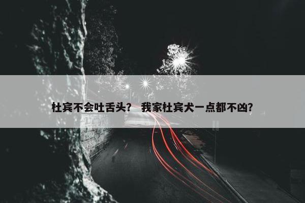 杜宾不会吐舌头？ 我家杜宾犬一点都不凶？