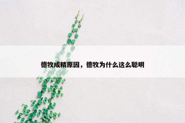 德牧成精原因，德牧为什么这么聪明